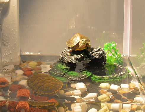 PINVNBY Turtles Dock for Aquarium Reptile Basking Platform for Turtles, Frogs, Newts (1 Pack)