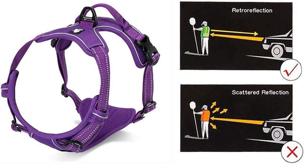 Truelove Reflective No Pull Dog Harness, Soft Front with Handle and 2 Leash Attachments