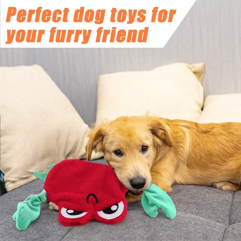 AWOOF Dog Toys No Stuffing, 5 Pack Durable Squeaky Chew Toys for Small, Medium, and Large Dogs