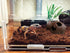 Ceramic Shelters 2 Pcs, Fish Tank Accessories, Swim Holes Aquatic Cave for Freshwater and Saltwater Fish