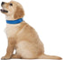 Downtown Pet Supply Deluxe Padded Adjustable Dog Collar - Blue, L - Metal Buckle & D-Ring, Machine Washable & Water