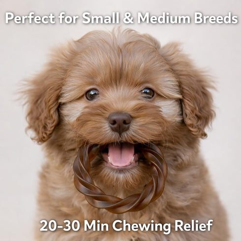 Generic (4 No Rawhide Puppy Teething Rings Sweet Potato Rings) Grain Free Rawhide Alternative Teething Treats