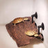 Flushbay Turtle Floating Basking Platform, Aquarium Decorations with Suction Cups for Tortoise Climbing
