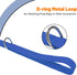 5/6 FT Waterproof Dog Leash, Durable Odor-Proof with Strong Metal Hooks for Small Medium Large Dogs (Blue, 6FT - 1 inch