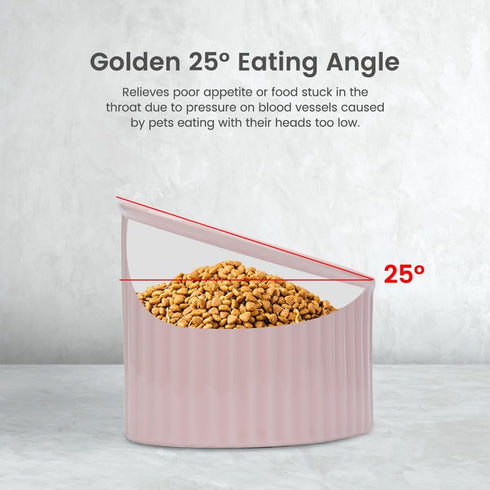 Heart Shaper Ceramic Elevated Cat Bowls, Anti Vomit Raised Cat Bowls, Microwave Safe Pet Accessories for Small Cats