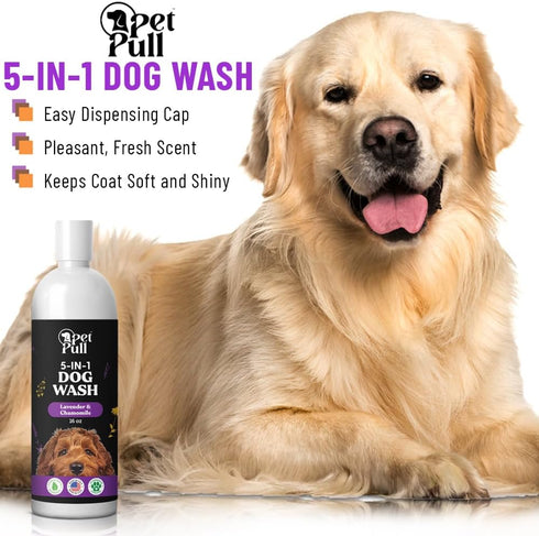 5-in-1 Dog Wash, Plant Based Grooming Supplies for Dogs, Sulfate Free Lavender and Chamomile Shampoo (16 Fl Oz)
