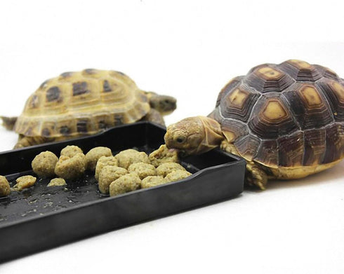 OMEM Reptile Bowl, Large Food and Water Dish, Simulated Wood Grain Surface, Enough Space for Bath, M, Black