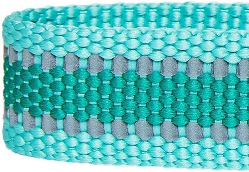 Blueberry Pet Essentials Small Dog Collar - Adjustable Classic Solid Color Nylon, Reflective Minty Green for Small Dogs