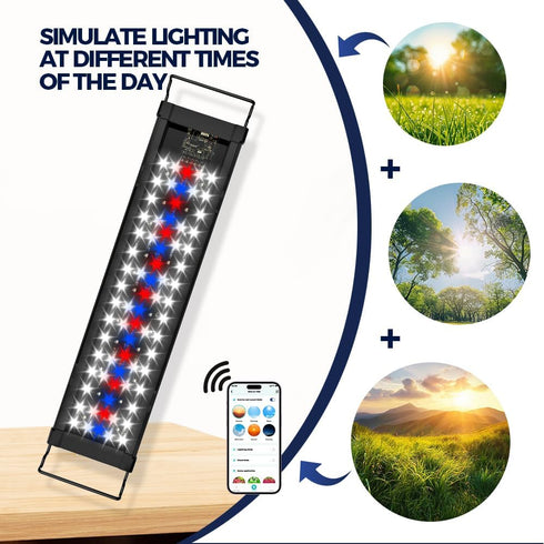 Programmable (WCL20-24B) OYO WATER Smart LED Aquarium Light with App Control, Full Spectrum RGB, Bluetooth Enabled
