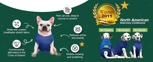 Veterinary Approved Disposable Dog Diapers Keeper - Perfect Fit for Male & Female Dogs
