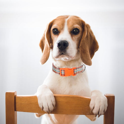 Orange Dog Collar for Large Dogs, Cute boy Girl Dog Collar with Tribal Ethnic Aztec Patterns,Adjustable Comfy Soft Dog Collar Pet Cat Collar for XS Small Medium Large Extra Large Dogs(L)