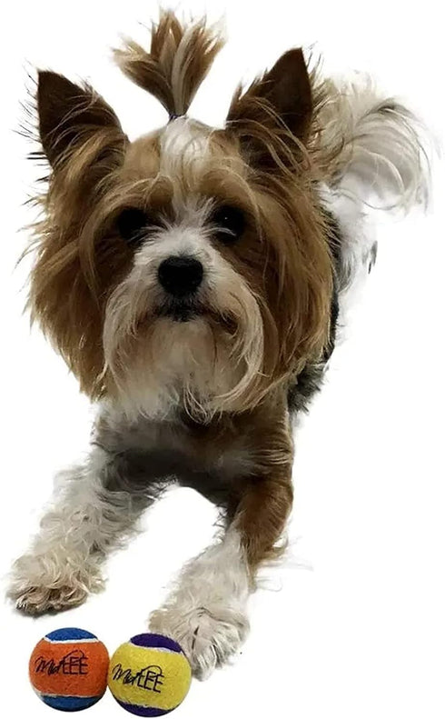 Pack of 12 Midlee Squeaky Mini Tennis Balls for Dogs - 1.5" (Yellow/Purple)