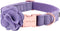 ARING PET Velvet Dog Collar, Purple with Detachable Felt Flower, Adjustable Soft Collar for Dogs