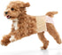 Ambreview Dog Diapers Female, Disposable Diapers for Female Dog with Stretchy Waist,