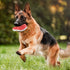 Dog Chew Toys, Tough Durable Rubber Puppy Toy for Aggressive Chewers, Interactive Toys for Medium Large Breed