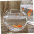 Flat Fish Tank Hydroponic Planter, Glass Aquarium Bowl, Water Plant Vase, Betta Tank Fish Supplies