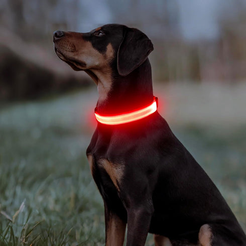 Illumifun LED Dog Collar, Adjustable Light Up Safety Pet Collar (Red, Small)