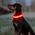 Illumifun LED Dog Collar, Adjustable Light Up Safety Pet Collar (Red, Small)