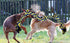 6 Knot 2 Pack 3.6 Feet Giant Large Dog Chew Rope Toy for Aggressive Chewer Tug of War