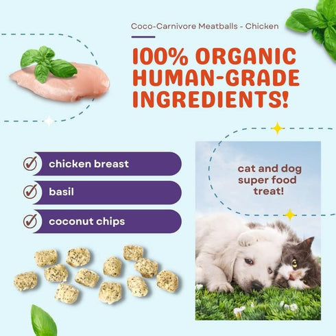 CocoTherapy 3 Pack of Coco-Canivore Meatballs Dog Treats, Chicken