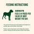 Simmered 9 oz (Pack 6), Your Pet's Kitchen Wet Dog Food, Slow Beef Recipe - Pouch, of Human Grade Pet Food Made in The