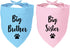 Big Sister and Big Brother Pet Dog Bandana, Triangle Scarf for Small
