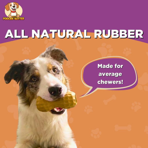 Peanut Butter Durable Chew Treat Toy for Dogs, Solid Natural Rubber Toy for Aggressive Chewers, Small