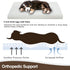 EMPSIGN Dog Bed Crate Pad for Jumbo Dogs, Deluxe Fluffy Plush Washable Mat, 35"x 22"x 3", White
