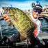 PROcise Outdoors Cull Keeper Professional Fishing Gear - Tournament Angler Fish Culling System for Organizing Bobbers &