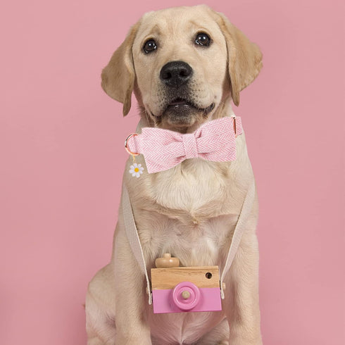 Elegant little tail Herringbone Pink Dog Collar with Bow, Durable Cotton Bowtie Collar for Large Dogs