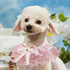 Dog Cat Collars, Flower Bow Lace Pet Bib Saliva Towel Round Neck Scarf Sweet Lace Bib for Pet Birthday Dress up Accessories