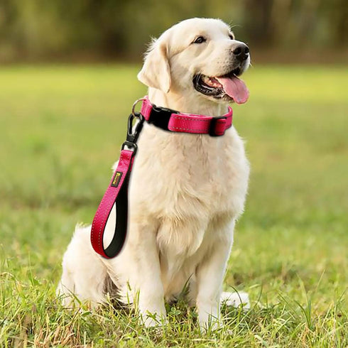 PLUTUS PET Short Dog Leash 10 Inch for Large Dogs with Locking Carabiner Clip & Padded Handle, Pink