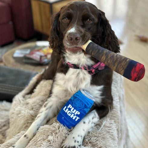 Pup Light and Pups Blue Rubbin - Parody Beer Dog Toys, Funny Plush Squeaky Dog Gifts for Birthday