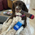 Pup Light and Pups Blue Rubbin - Parody Beer Dog Toys, Funny Plush Squeaky Dog Gifts for Birthday