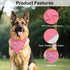 ZBBFSCSB Promoted to Big Sister Pink Dog Bandana, Photoshoot Prop Accessory for Pregnancy Announcement Birthday Party