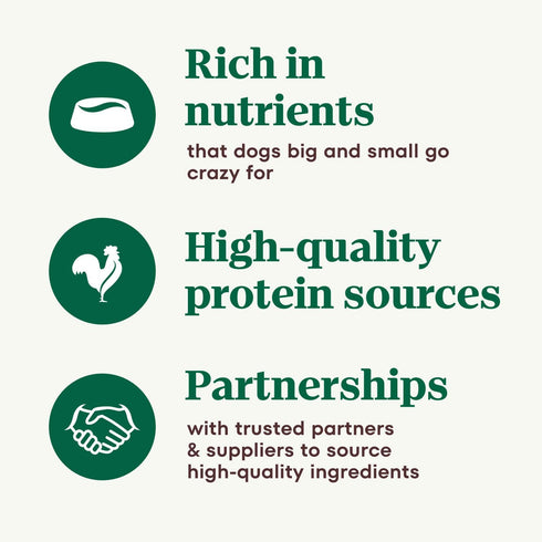 NUTRO HEARTY STEW Adult Natural Grain Free Wet Dog Food - Cuts in Gravy, Roasted Turkey, Sweet Potato & Green Bean