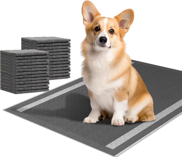 Dog and Puppy Pee Pads 50 Count, 23'' x 30'' Charcoal Odor-Control