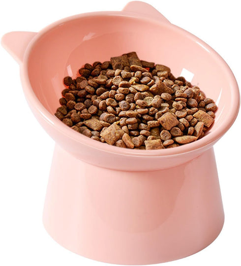 Raised Cat Bowl, Elevated Feeding Bowls with Stand, Anti Vomit Tilted Cat Food Bowl for Pets