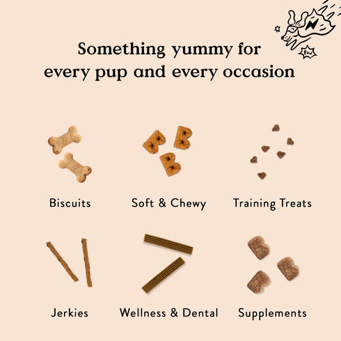 Bocce's Bakery All-Natural, Small Batch Organic Dog Treats - Wild 'Berry Biscotti Biscuits, 12 oz Bag