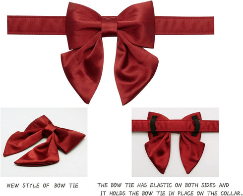 Lionet Paws Bowtie Dog Collar, Comfortable Silk Collar with Detachable Bow Tie for Puppy and Cat, Neck 8-12 Inches
