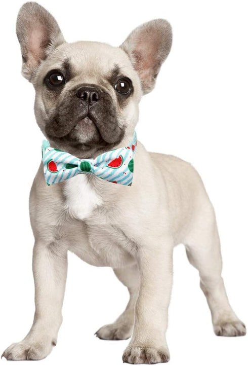 azuza Stylish Watermelon Bowtie Dog Collar for Puppy and Small Dogs