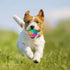 FineInno 4 pcs Large Light Up Dog Balls - Flashing Elastic Glow in The Dark Interactive Pet Toys