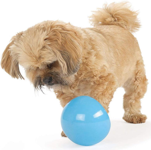Outward Hound by Planet Dog Snoop Durable Interactive Treat Dispensing Dog Toy - Large, Blue
