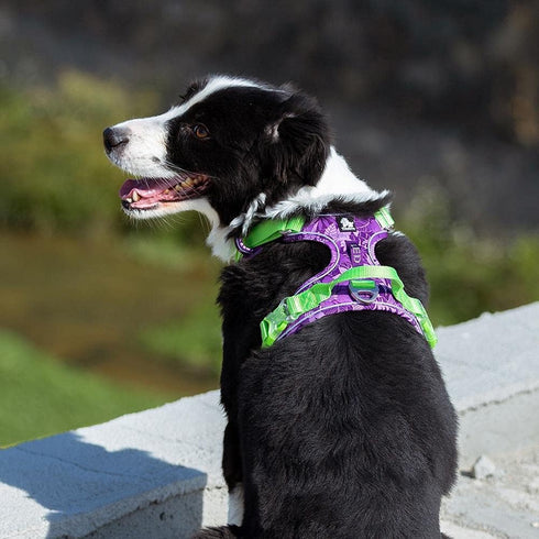 TRUE LOVE No Pull Dog Harness, Soft Reflective Camouflage Pet Harness for Small and Big Dogs, TLH5653