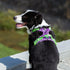 TRUE LOVE No Pull Dog Harness, Soft Reflective Camouflage Pet Harness for Small and Big Dogs, TLH5653