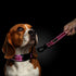 PLUTUS PET Short Dog Leash 10 Inch for Large Dogs with Locking Carabiner Clip & Padded Handle, Pink