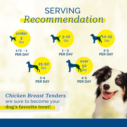 PCI Pet Center Inc. Chicken Breast Tenders - Raw Dehydrated Chicken Breast Fillets Dog Treats, 2 Pound