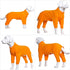 Lovelonglong Four Feet Dog Lightweight Pajamas, Pure Cotton Dog Jumpsuits for Large Medium Small Dogs (Orange XS)