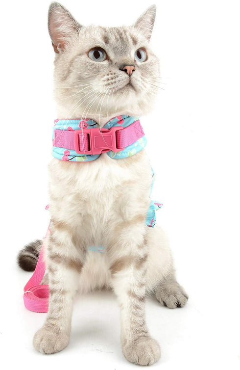 SELMAI Cat Harness and Leash, Escape Proof Cherry Vest for Small Dogs and Kittens, Soft Padded for Walking