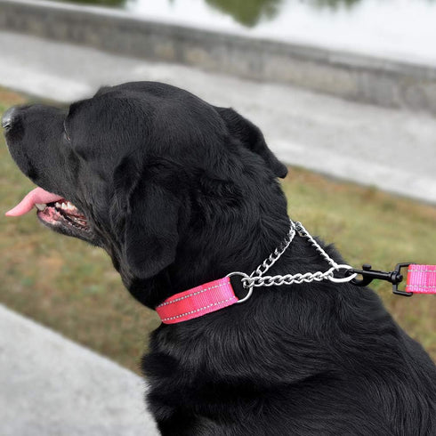 CollarDirect Martingale Dog Collar, Adjustable Stainless Steel Chain Reflective Nylon Pet Collars for Medium Large Dogs